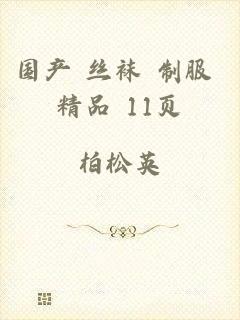 国产 丝袜 制服 精品 11页
